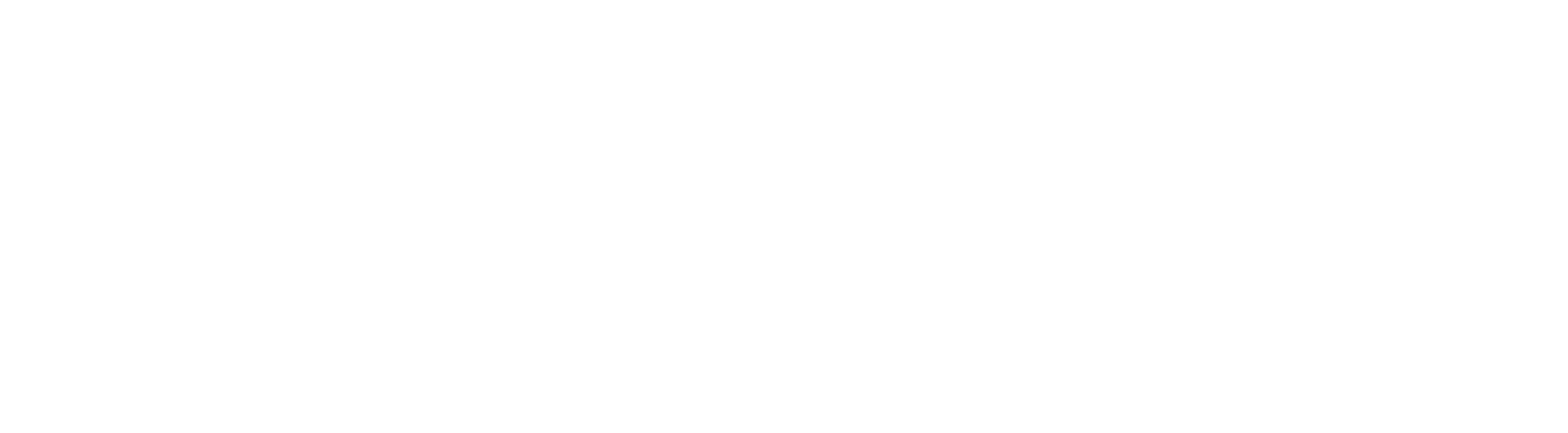 Mango Couture | Estilo exclusivo para mascotas