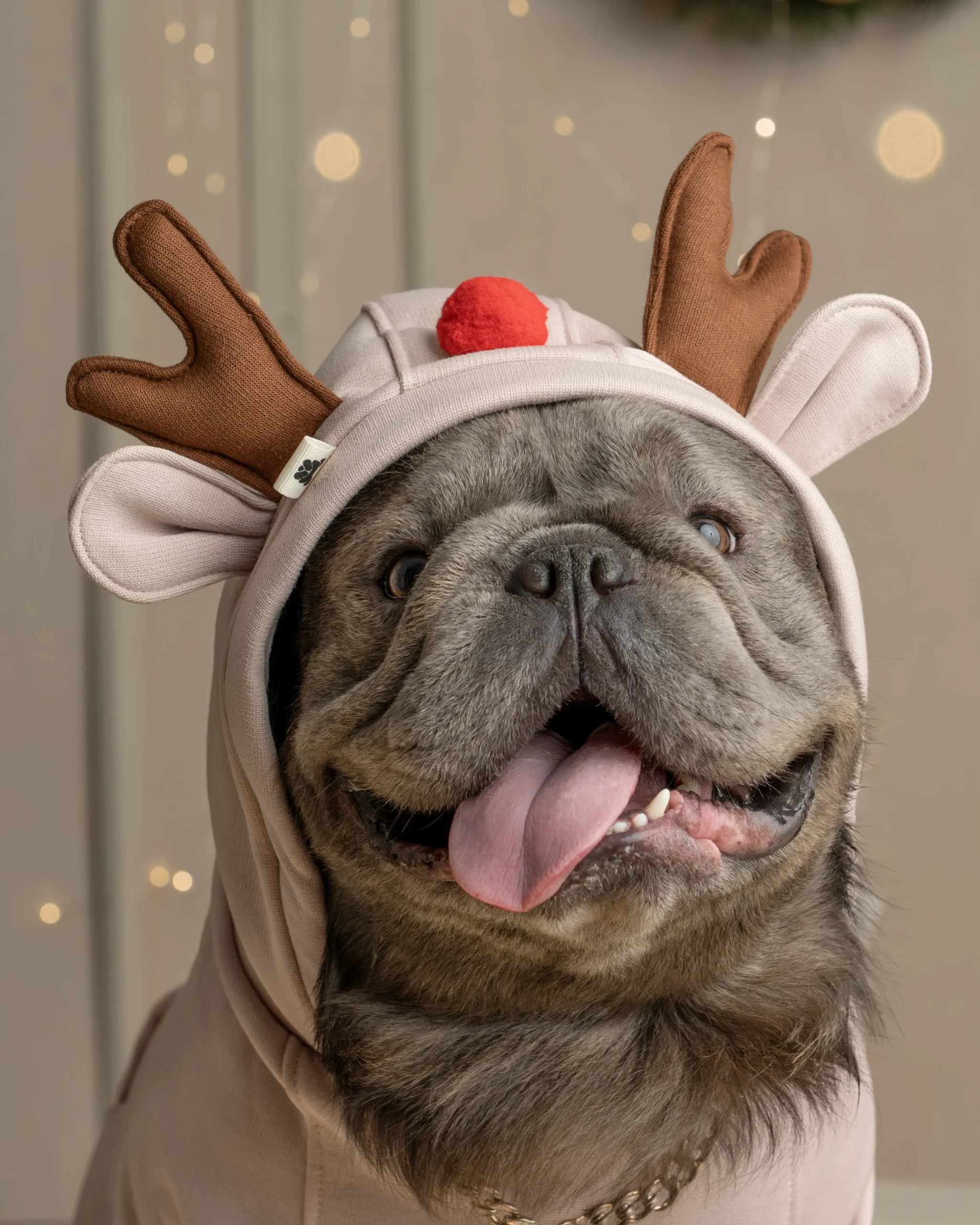 Hoodies navidad rodolfo 6 - MANGO COUTURE