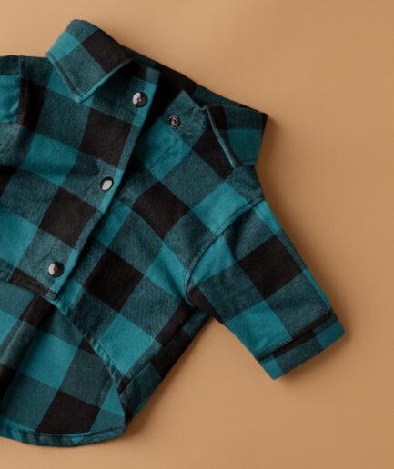 Camisa North Club Moss Green